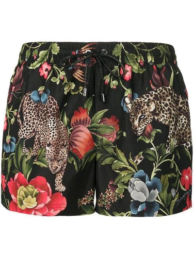 Shop Dolce & Gabbana Leopard Print Swim Shorts