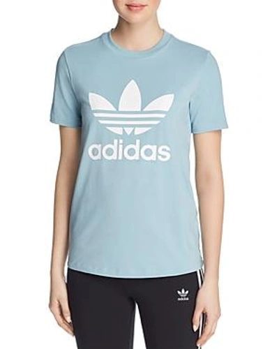 Shop Adidas Originals Trefoil Logo Tee In Ash Grey/white