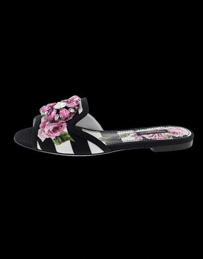 Shop Dolce & Gabbana Striped Embellished Slide In Rose