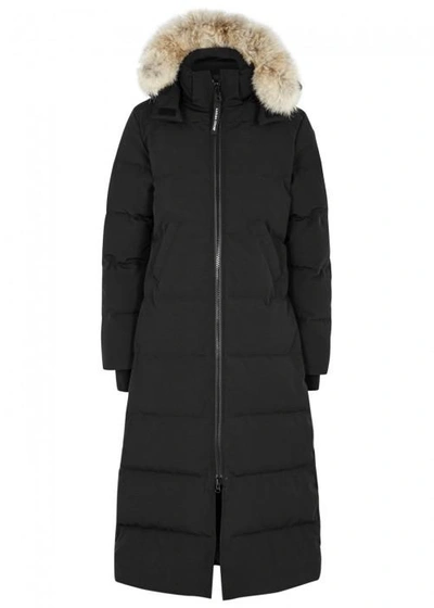Shop Canada Goose Mystique Fur-trimmed Shell Coat In Black