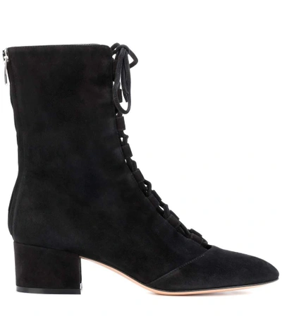 Shop Gianvito Rossi Exclusive To Mytheresa.com - Delia Suede Ankle Boots In Black