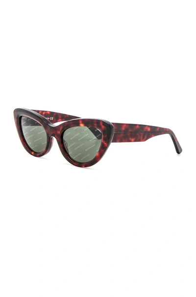 Shop Balenciaga Cat Eye Sunglasses In Red Havana