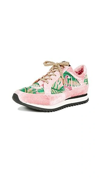 Shop Charlotte Olympia Work It! Flamingo Sneakers In Pink