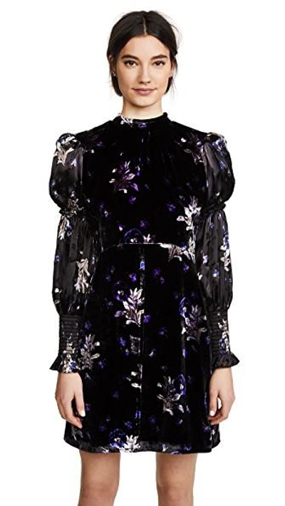 Shop Rebecca Taylor Violet Velvet Dress In Black Combo