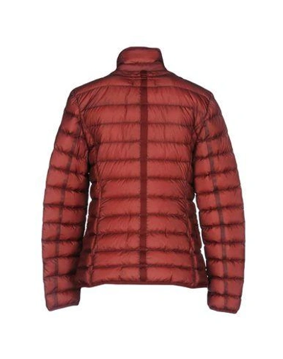 Shop Parajumpers Down Jackets In Brick Red