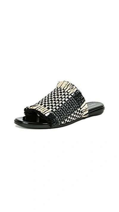 Shop Proenza Schouler Flat Sandals In Black