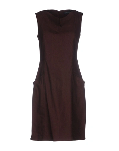 Shop Antonelli Short Dress In Cocoa