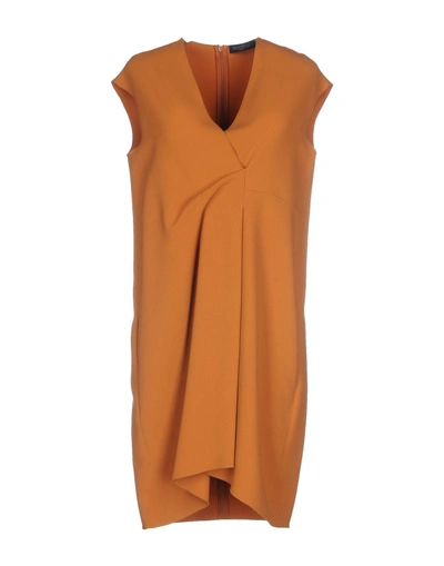 Shop Antonelli Short Dress In Camel