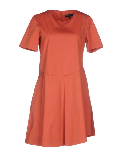 Shop Antonelli Short Dress In Rust