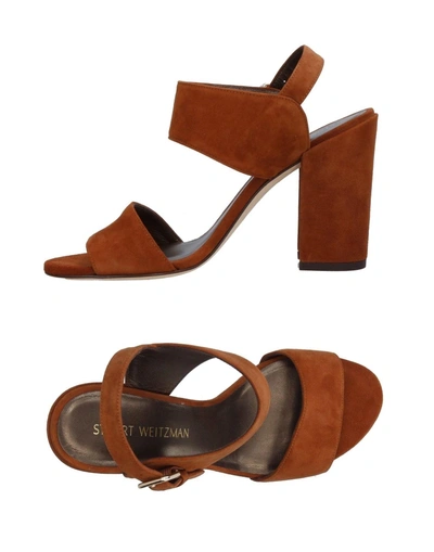 Shop Stuart Weitzman In Brown