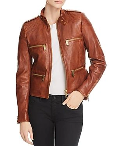 Shop Michael Michael Kors Leather Moto Jacket In Cognac