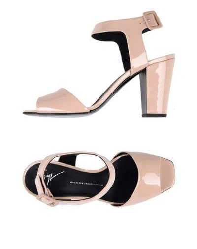Shop Giuseppe Zanotti Sandals In Pink