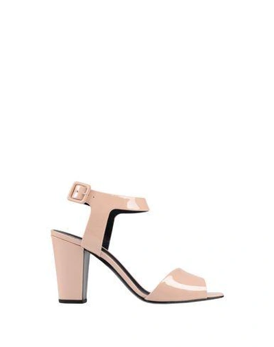 Shop Giuseppe Zanotti Sandals In Pink