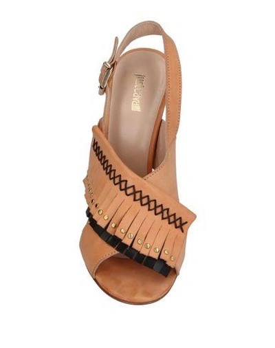 Shop Just Cavalli Sandals In Camel