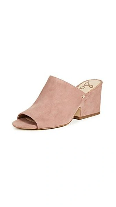 Shop Sam Edelman Rheta Mule In Dusty Rose