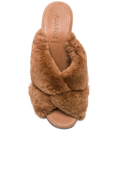 Shop Alumnae Rabbit Fur X Slide Block Heels In Brown