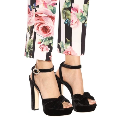 Shop Dolce & Gabbana Velvet Sandals In Black