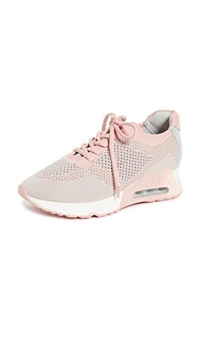 Shop Ash Lucky Sneakers In Pearl/nude