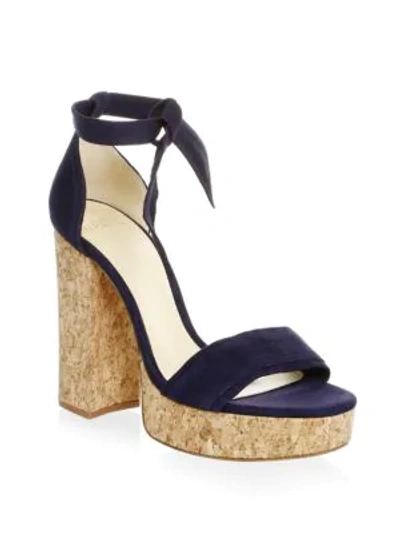Shop Alexandre Birman Celine Suede Platform Sandals In Night Shade