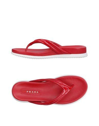 Shop Prada Toe Strap Sandals In Red