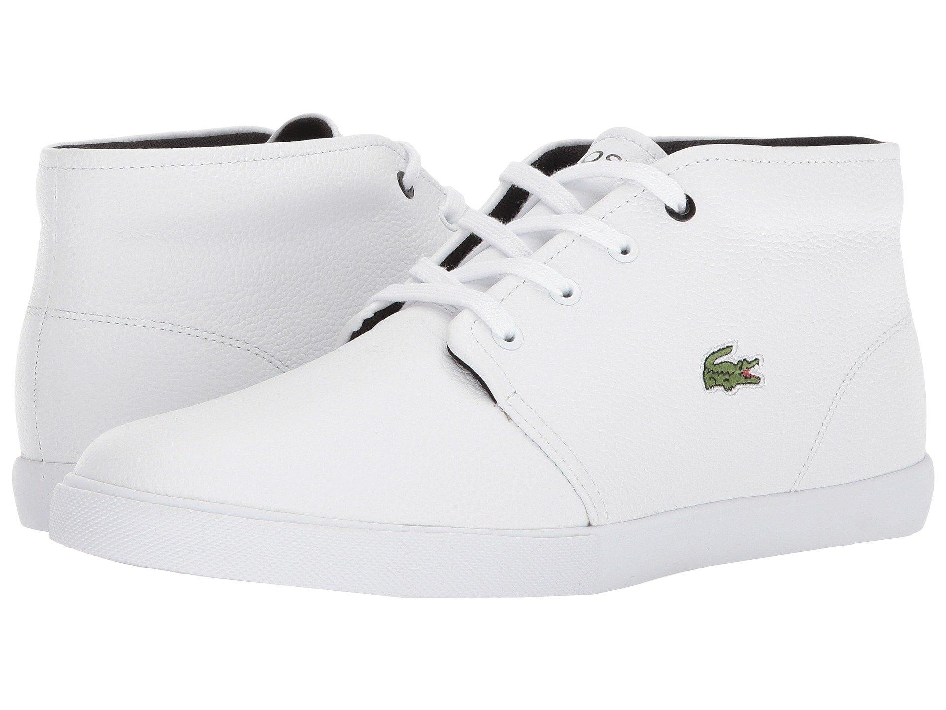 lacoste asparta 118