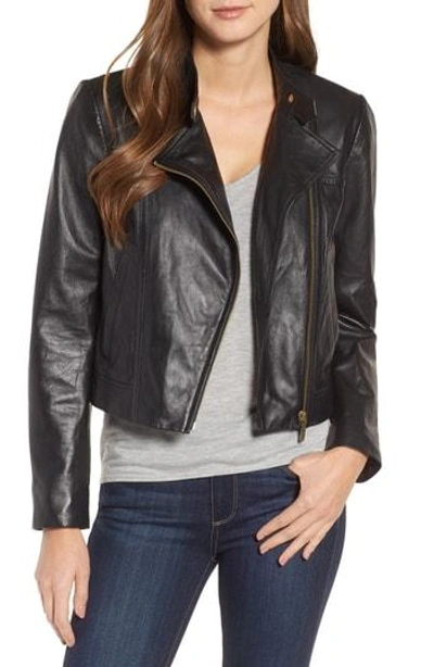 Shop Michael Michael Kors Leather Moto Jacket In Black/ Gold