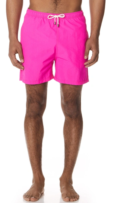 Shop Solid & Striped The Classic Neon Pink Trunks