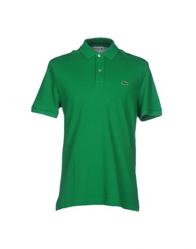 Shop Lacoste Man Polo Shirt Green Size 3 Cotton