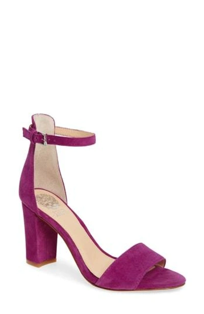 Shop Vince Camuto Corlina Ankle Strap Sandal In Fiery Fucshia Suede