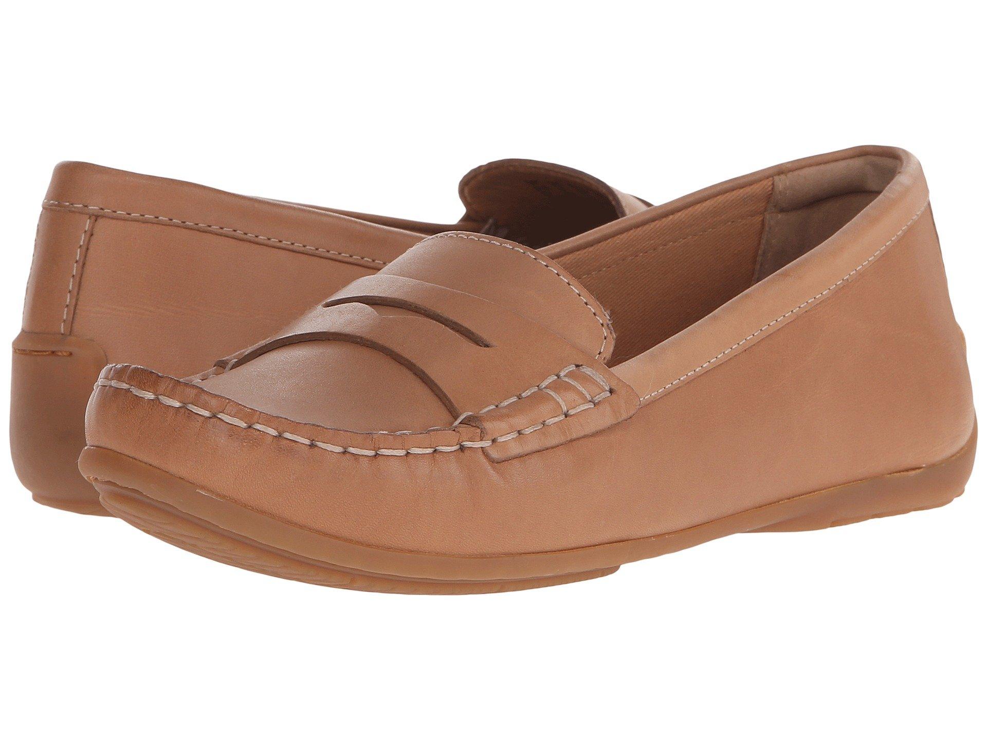 clarks doraville nest