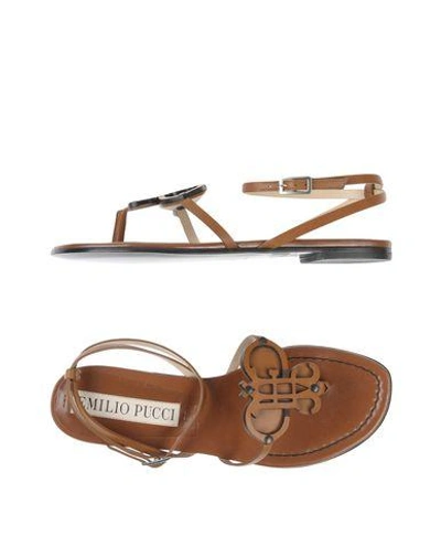 Shop Emilio Pucci In Brown