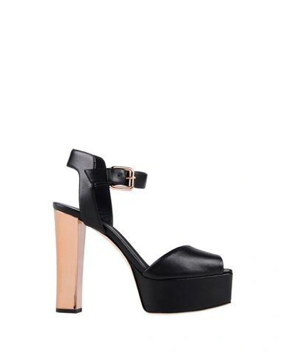 Shop Giuseppe Zanotti In Black