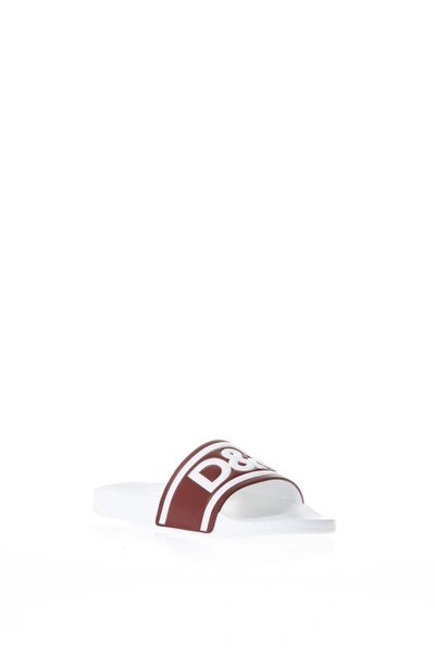 Shop Dolce & Gabbana Rubber Sandals With Logo In White