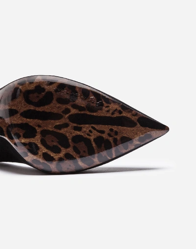 Shop Dolce & Gabbana Suede Pumps With A Leopard Print Sole In Black