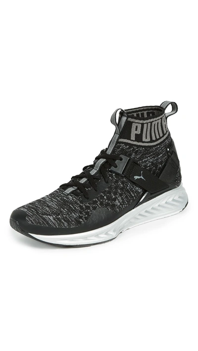 Shop Puma Ignite Evoknit Nc Sneakers In Black/shade/quarry