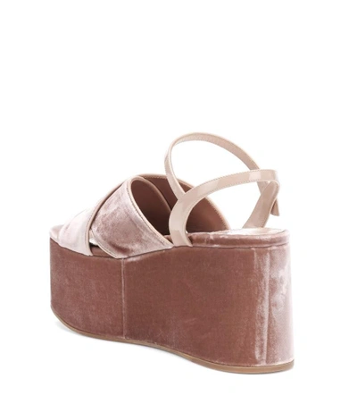 Shop Miu Miu Velvet Platform Sandals In Pink