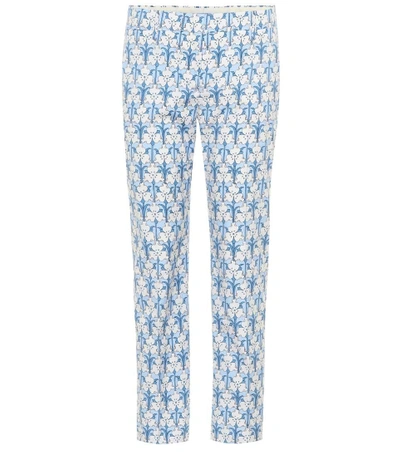 Shop Prada Floral-printed Cotton Trousers In Blue