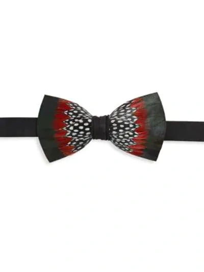 Shop Brackish Boxed Mesa Feather Bow Tie In Black