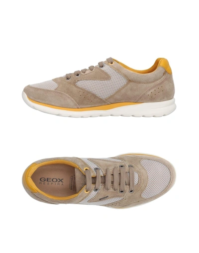 Shop Geox Sneakers In Sand