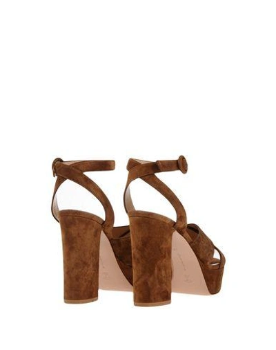 Shop Gianvito Rossi Sandals In Camel