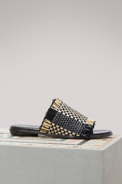 Shop Proenza Schouler Raffia Mules In Black/natural