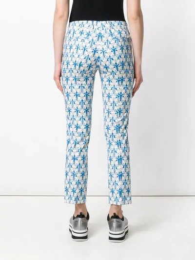 Shop Prada Floral Print Trousers In Blue