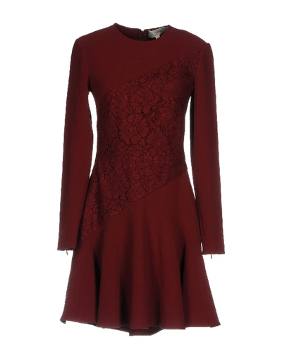 Shop Lover Short Dress In Maroon