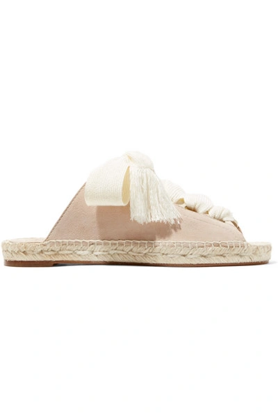 Shop Chloé Harper Lace-up Suede Sandals In Pastel Pink