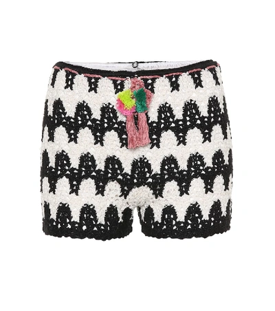 Shop Anna Kosturova Zebra Crocheted Cotton Shorts In Black