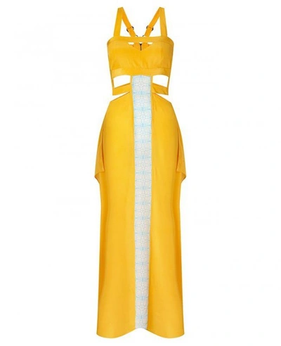 Shop Aya Silk Citrine Maxi Dress In Yellow