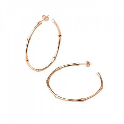 Shop Dinny Hall Rose Gold Bamboo Large Hoops