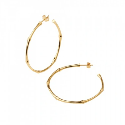 Shop Dinny Hall Bamboo Large Hoops In Gold