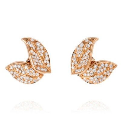 Shop Nadine Aysoy Petites Feuilles Gold Earring Studs