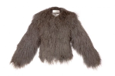 Shop Popski London Sabrina Shearling Jacket In Dove Grey